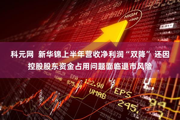 科元网  新华锦上半年营收净利润“双降” 还因控股股东资金占用问题面临退市风险