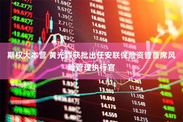 期权大本营 黄光霖获批出任安联保险资管首席风险管理执行官