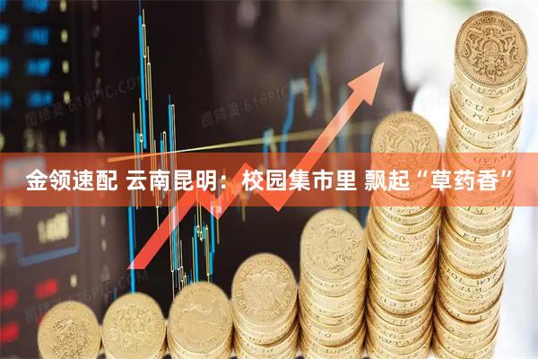 金领速配 云南昆明：校园集市里 飘起“草药香”